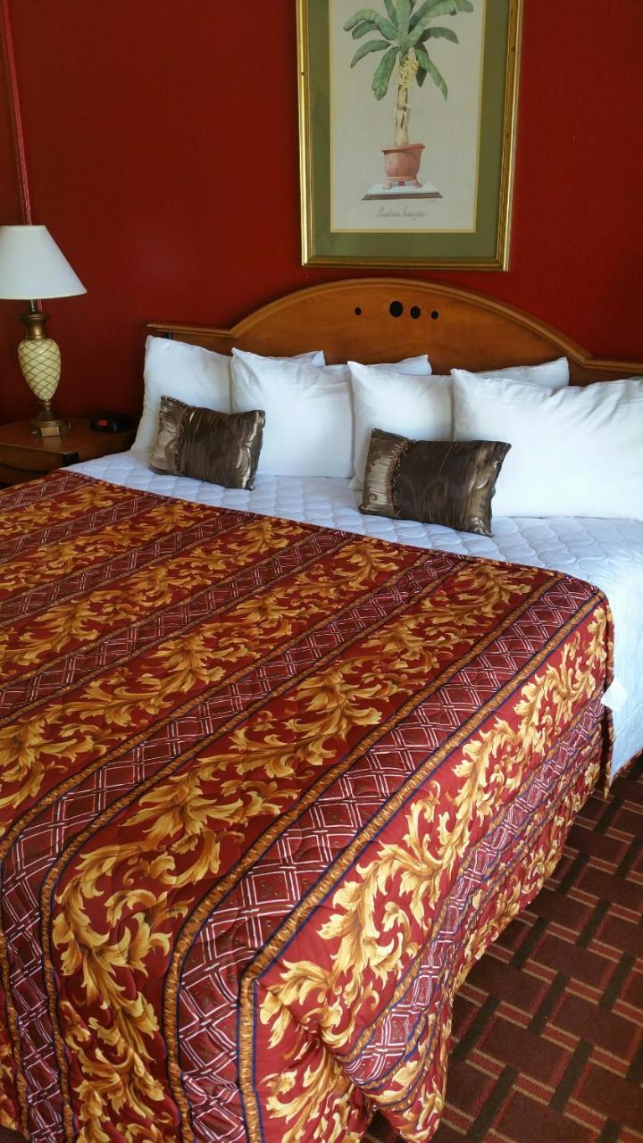 Palms Inn Дейния Бийч Екстериор снимка